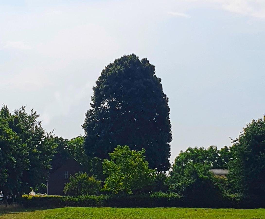 B&B De Nieuwenhof 'De Tuinkamer' Melderslo Dış mekan fotoğraf